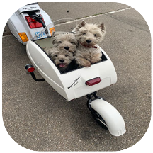 pet rimorchio vespa